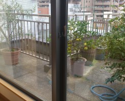 サッシのカビ