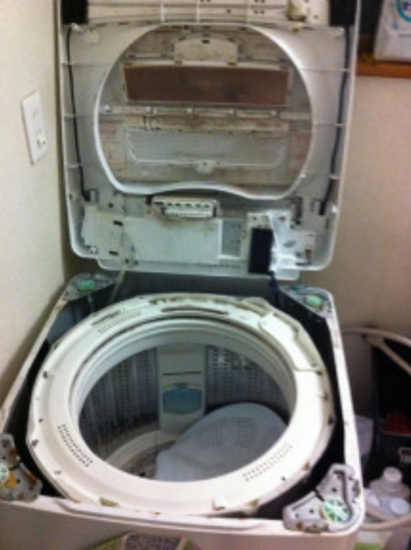 洗濯機　掃除　分解