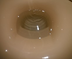 トイレ黄ばみ